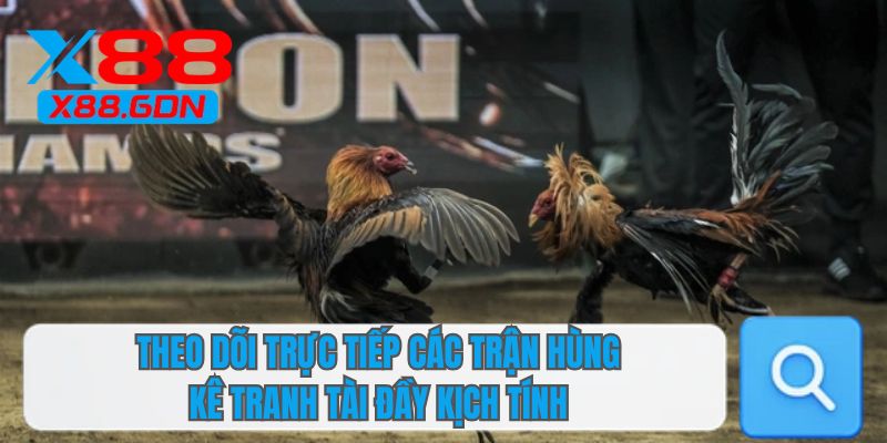 Theo dõi trực tiếp các trận hùng kê tranh tài đầy kịch tính